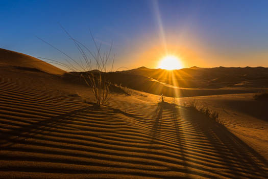 Merzouga