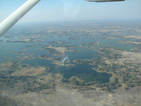 Okavango Delta - vanuit de lucht een prachtig overzicht