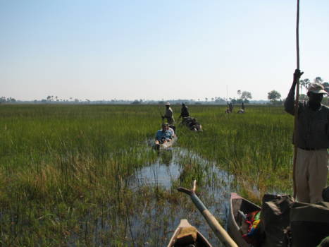 Okavango Delta - op weg met mokoro's