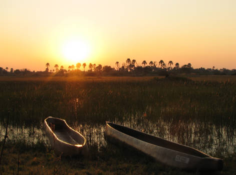Okavango Delta - als de avond valt...