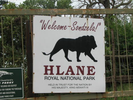 Hlane en Mkhaya wildparken