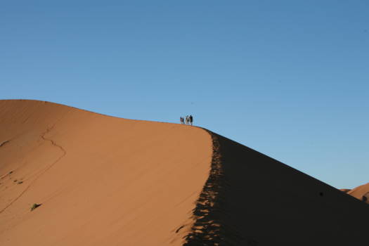 Sossusvlei - Op weg naar de top