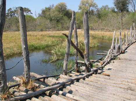 Moremi Game Reserve - bridge over de river kwai