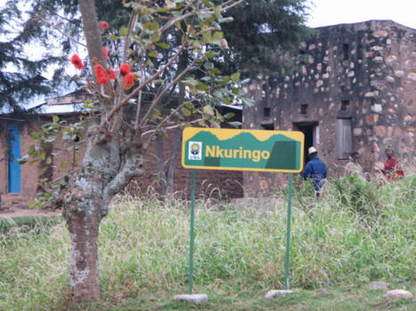 Bwindi Impenetrable National Park