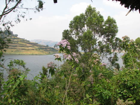 Lake Bunyonyi