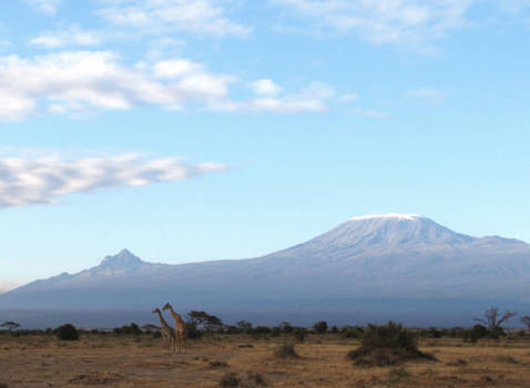 Amboseli National Park
