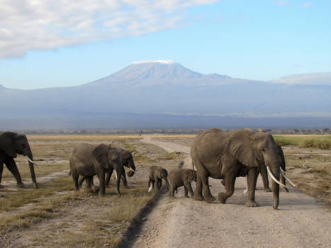 Amboseli National Park