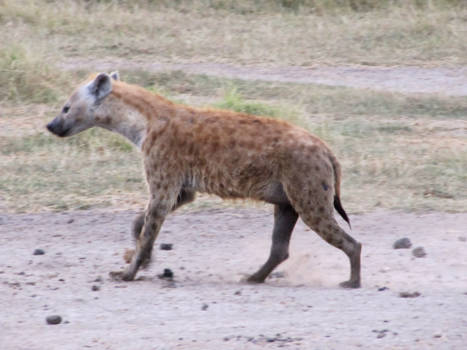 Amboseli National Park