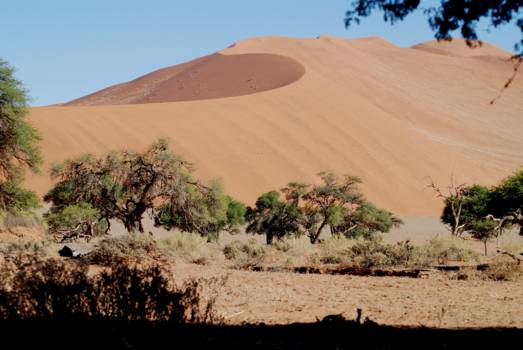 Sossusvlei