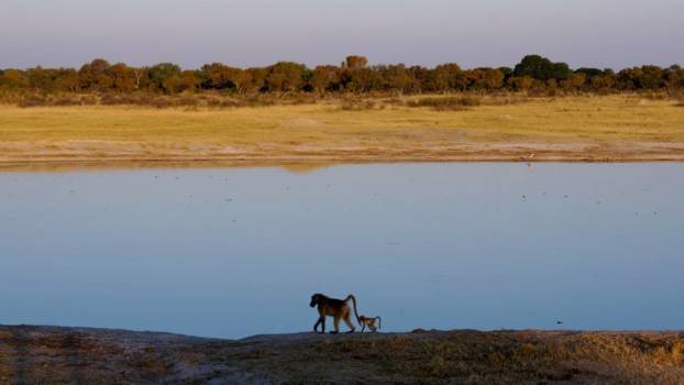 Hwange National Park - Meertje
