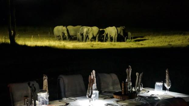 Hwange National Park - Olifanten aan tafel
