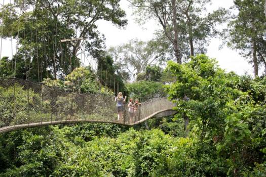 Kakum National Park
