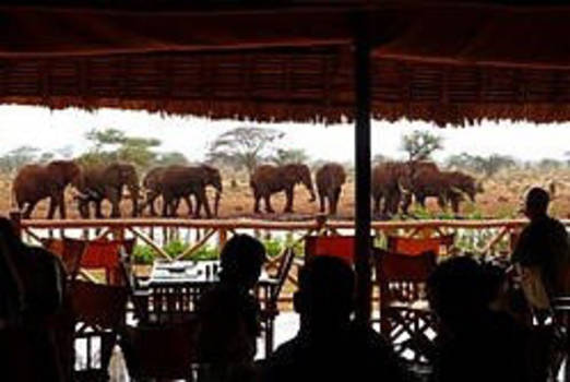 Mount Kenya - Ngutuni Lodge in Kenya