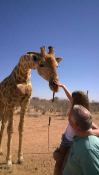 Namibië - Deze chiraf is wel heel mak