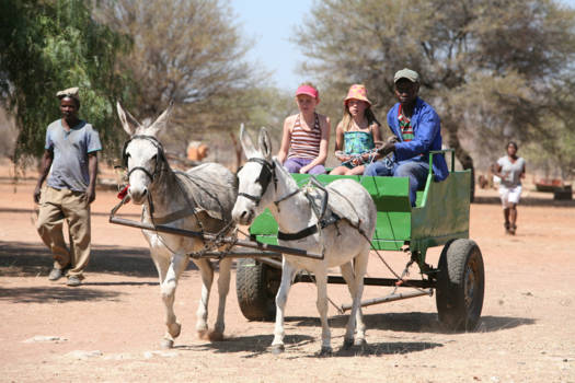 Namibië - Op de ezelkar