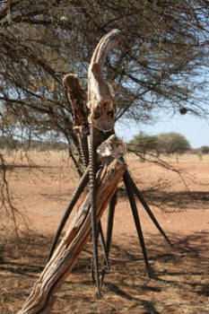 Namibië - What rests