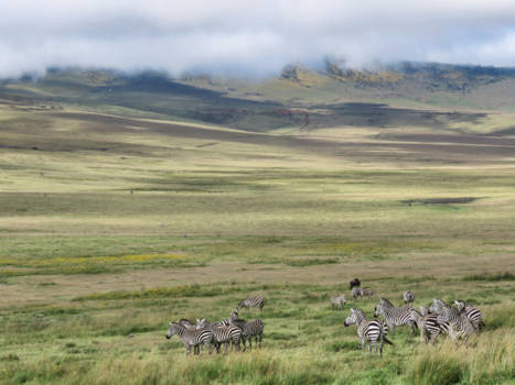 Ngorongoro krater - What heaven looks like