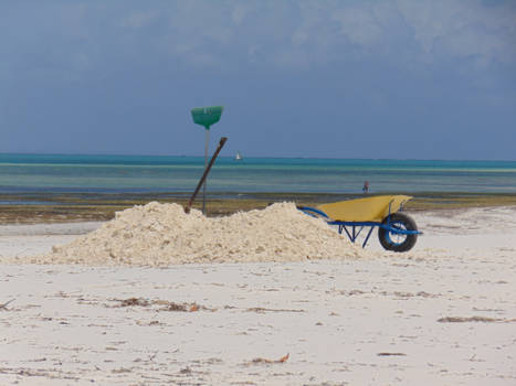 Stranden van Zanzibar - Work in progress - Polo Polo!