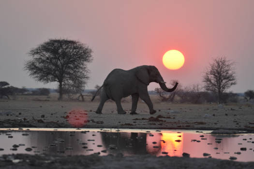 Kalahari woestijn - Zonsondergang in de Nxai Pan