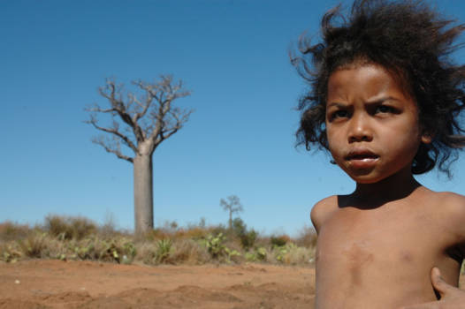 Madagaskar - meisje bij Baobab