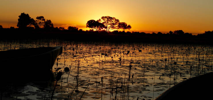 Okavango Delta - Sunset in de Okavango delta Botswana