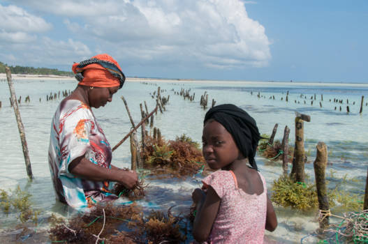 Tanzania - Moeder en dochter aan het werk
