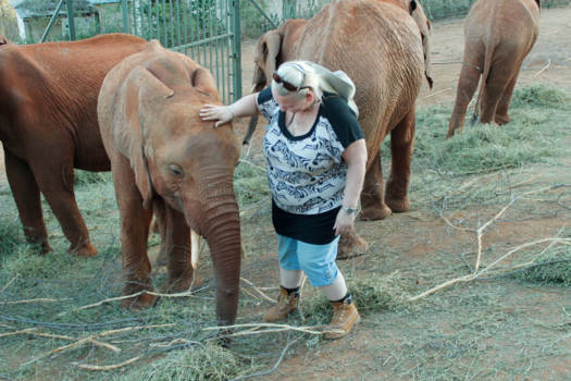 Kenia - Bij de olifanten opvang
