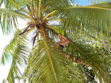 Seychellen - Onbewoond eiland!!