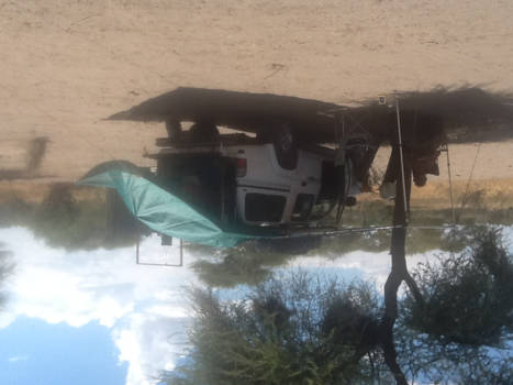 Kalahari woestijn - Freedom