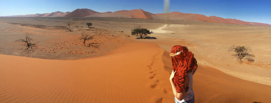 Sossusvlei - Namibië