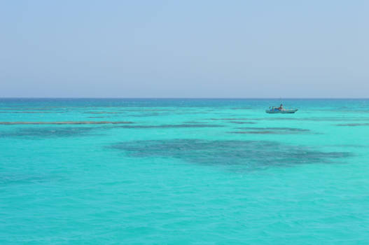Egypte - Wonderful world