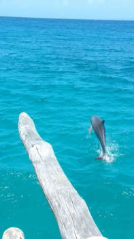 Kenia - Vrij in de natuur