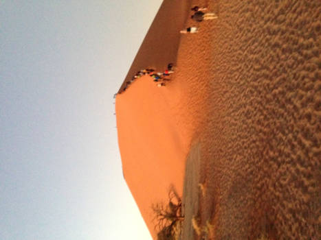 Namibië - De polonaise op Dune 45