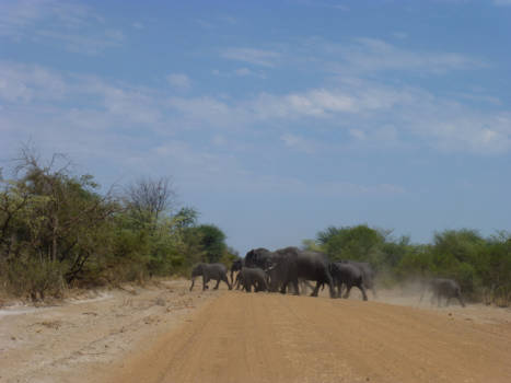 Namibië - Hurry hurry