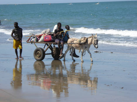 Gambia - samen onderwegnaar......
