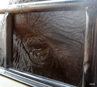 Zimbabwe - SO SO TIRED