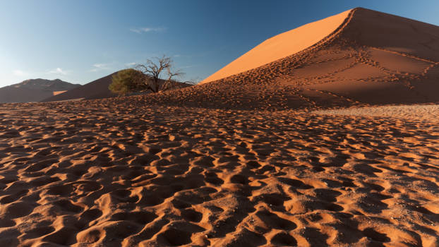Sossusvlei - voetstappen
