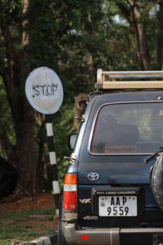 Zambia - Twee maal aap