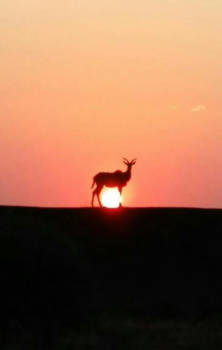 Botswana - I finally reached the sun