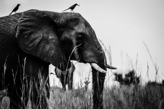 Oeganda - Making Friends