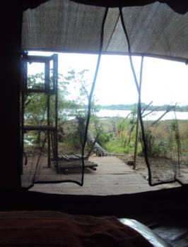 Zimbabwe - Miombo safaricamp Vrijheid