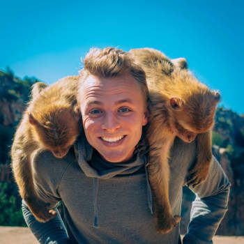 Cascades d'Ouzoud - Three living monkeys in a row