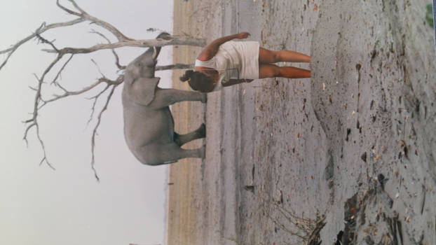 Botswana - Ik ben mijn lens kwijt!