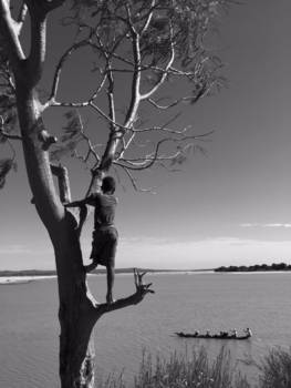 Madagaskar - Looking for opportunnities