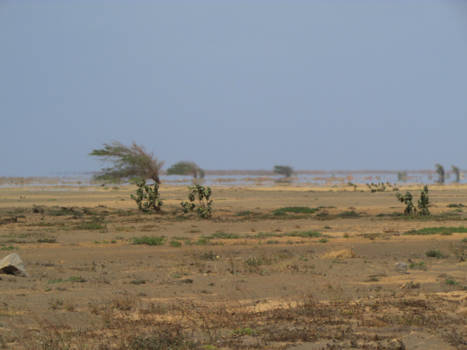 Boa Vista - Fata Morgana