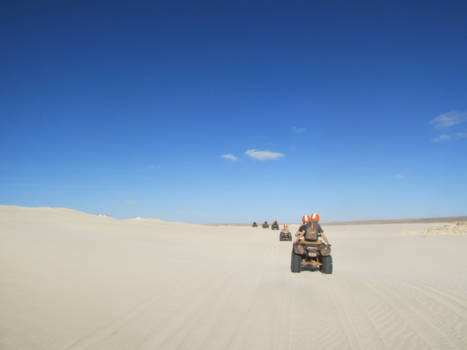 Boa Vista - Quad tour