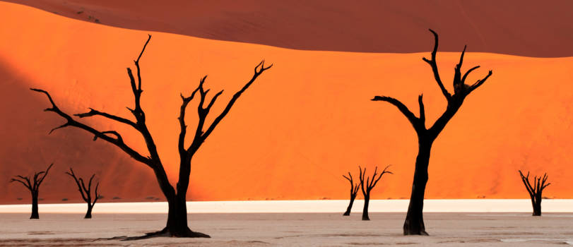 Namibië - Sunrise at Deadvlei