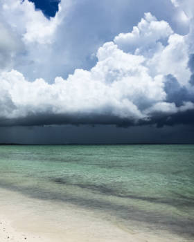 Stranden van Zanzibar - Sunny zanzibar