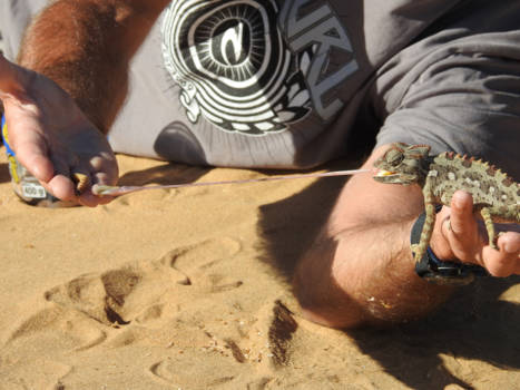 Namibië - Lekker hapje