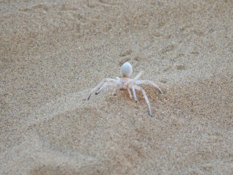 Namibië - Swakopmund